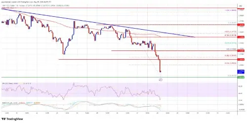 在市场加速低迷的情况下，XRP 在关键支撑位下方挣扎
