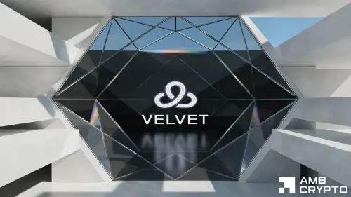 84%修正后上涨385% – 如何解读VELVET的价格走势?