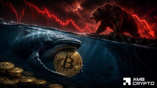8190 万美元的比特币鲸鱼押注如何影响 BTC 的 6 万美元之战