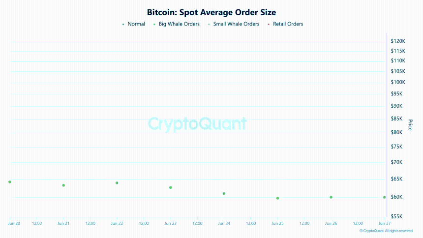 Bitcoin spot average order size
