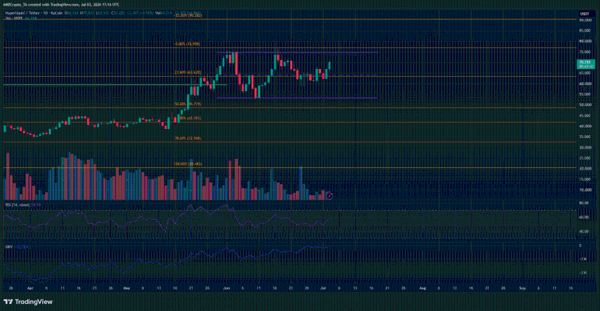 HYPE 1-day Chart