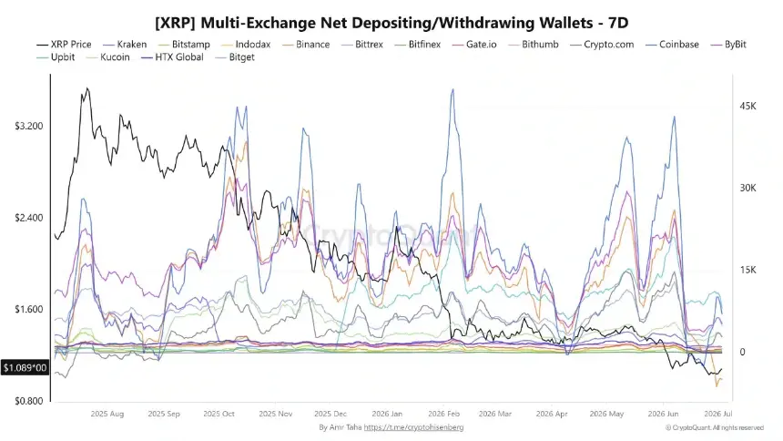 XRP Net Wallet Flows