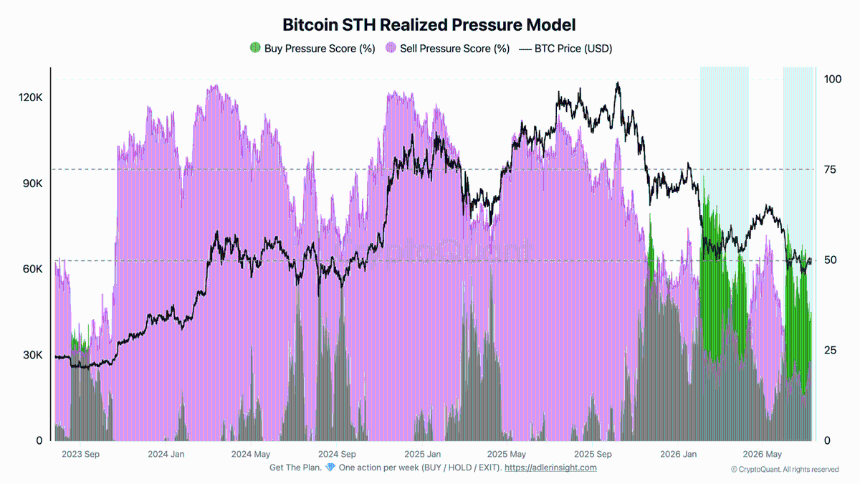 Bitcoin STH Realized Pressure Model